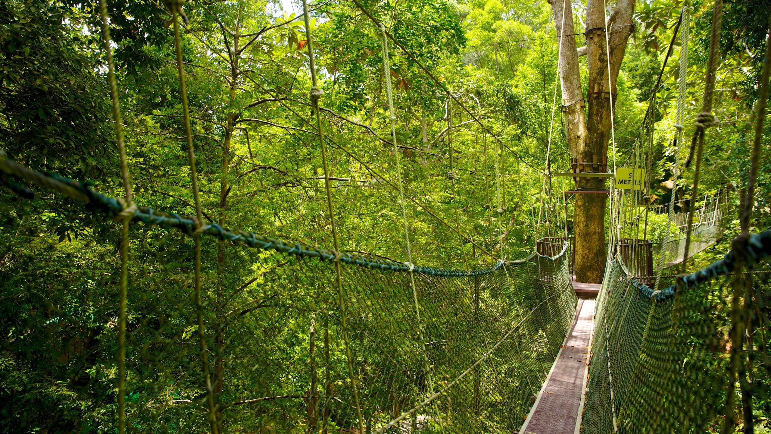 Penang National Park
